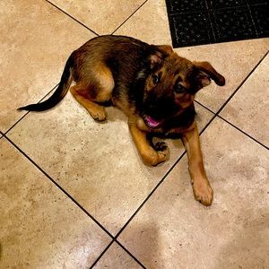 Meet your Posher, Tracy